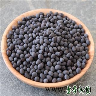 女贞子500g野生女贞子中药材女贞子冬青籽秦岭野生女贞子泡茶图4