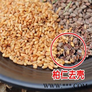 新货野生柏子仁中药材柏籽仁500g克新货秦岭野生正品柏子仁去壳柏籽仁图4