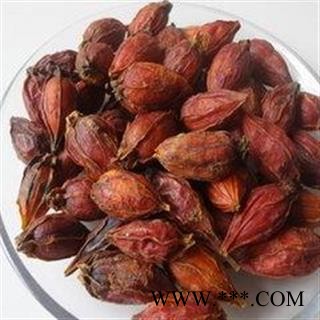 栀子 选 产地 四川省成都市市辖区图2