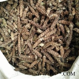 夏枯球 万信药业 夏枯球统货 产地 河南省图2