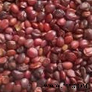 国产枣仁 酸枣仁98货 刚到新货 价格低 质量好 颗粒饱满 地道国产货 假一赔十  产地 山东省图2