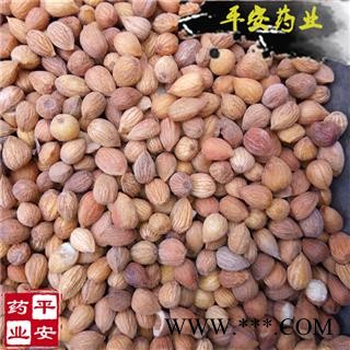 平安药业 郁李仁 正品 批发 零售图2