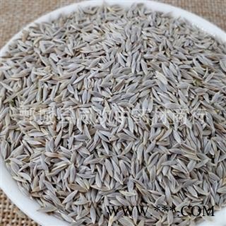 【白生菜籽 白巨胜 莴苣子】@【同欢药材】中药材批发供应 产地 河北省图3