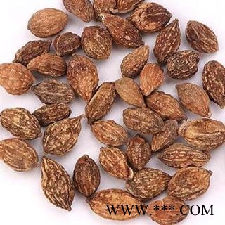 龙眼肉 益智统货 产地 海南省图2