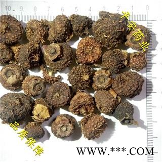 平安药业 刺梨 正品 刺酸梨子 茨梨 木梨子 送春归 九头鸟 刺莓果 刺菠萝 缫丝花图2