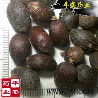 平安药业 蒲葵子 葵树子 优质 促销图2