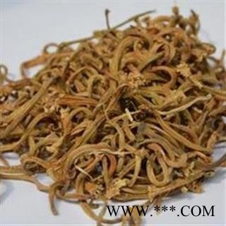 苦丁香 瓜蒂 甜瓜蒂 香瓜蒂 正品 产地 广东省图2