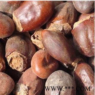 荔枝核 统 产地 广西壮族自治区图2