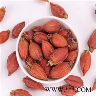 秦岭野生优质山栀子山民采摘自然凉干山栀子500g图4