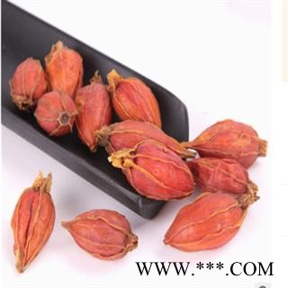 秦岭野生优质山栀子山民采摘自然凉干山栀子500g图3