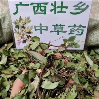 广西壮乡中草药 野生 含量高 络石藤 产地 广西柳州图4