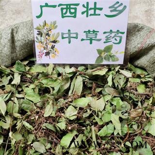 广西壮乡中草药 野生 含量高 络石藤 产地 广西柳州图2