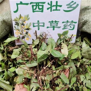 广西壮乡中草药 野生 含量高 络石藤 产地 广西柳州
