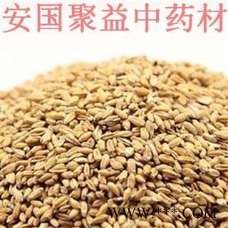 浮小麦 浮小麦净货 产地 河北省图2