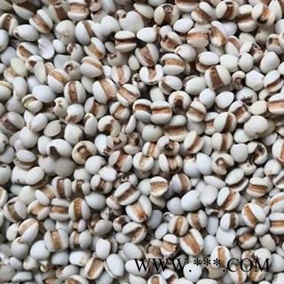 中药材薏苡仁 产地贵州 海外 本品是新货无硫初级农产品 去粗求精人工精选切无污染 无添加 自然原色 规格齐全 安国中药材批发零售大全图3