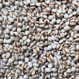 中药材薏苡仁 产地贵州 海外 本品是新货无硫初级农产品 去粗求精人工精选切无污染 无添加 自然原色 规格齐全 安国中药材批发零售大全图4