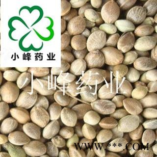 火麻仁 火麻仁 大选货 新货 颜色好 无虫蛀 产地 四川省图2