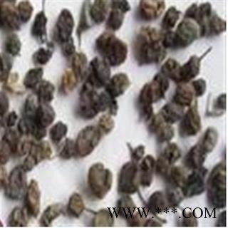 龙葵子 统 产地 河北省图2