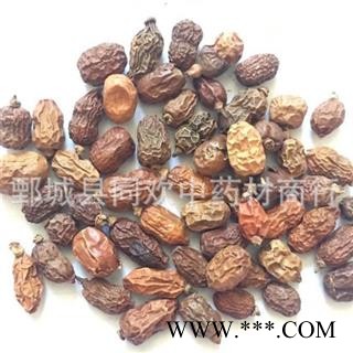 【红豆蔻】@【同欢药材】中药材批发供应  规格齐全 量大从优  产地 广西壮族自治区图3