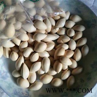 白果选产地河北省保定市涞水县图3