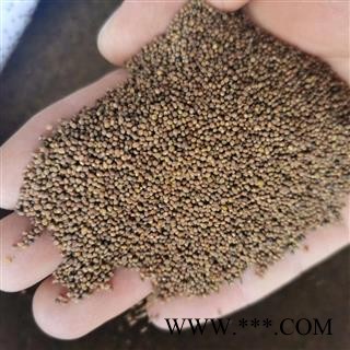 【菟丝子水洗选货】菟丝子 菟丝子水洗选货 诚信批发 优选品质 产地直供
