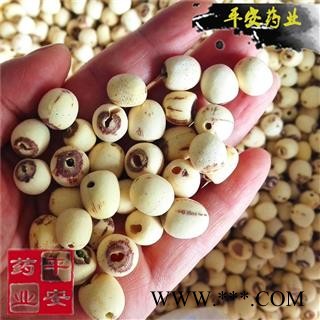 平安药业 白莲子 别称 连子 藕实 水芝丹 莲实 莲蓬子 莲肉图2