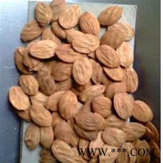 桃仁 扁桃仁统货 产地 山西省图2