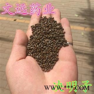 决明子 国产决明子选货 产地 河南省南阳市