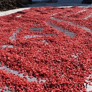 山萸肉 山茱萸 产地直供新货已到 西峡县 产地 河南省南阳市西峡县图4