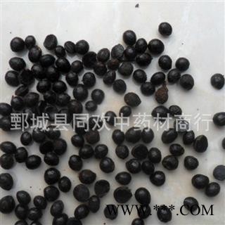 【椒目】@【同欢药材】中药材批发供应 规格齐全 量大从优  产地 陕西省图3