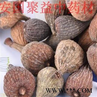 无花果 药用无花果个 产地 河北省图2