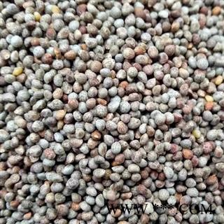中药材油酥子 紫苏子 地道药材 手工甄选干净无杂 颗粒饱满 无硫新货无添加 安国中药材批发零售大全图1