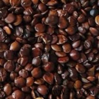 酸枣仁 国产  酸枣仁  选 产地 山东省图2