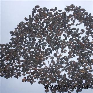 女贞子 鸡腰形 产地 重庆市县图3