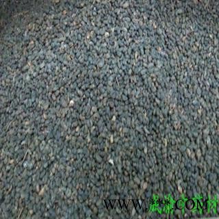 女贞子 鸡腰形 产地 重庆市县图4