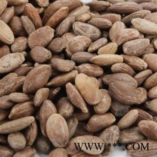 瑞森药材行瓜蒌仁 双边瓜蒌子统货籽仁饱满 产地 河北省图2