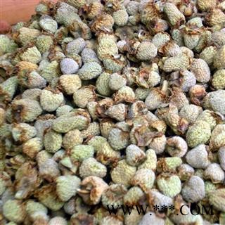 覆盆子 选 各种规格 产地 浙江省衢州市开化县图3