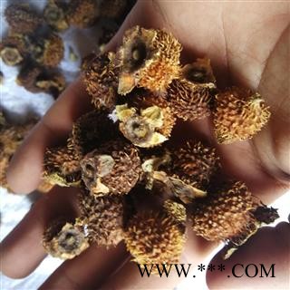 瑞森药材行 新货 刺梨 刺梨子 刺梨图2