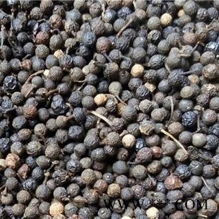 圣草康园荜澄茄 大粒香气浓 山苍子 山鸡椒 山香根 木姜子大粒的图2