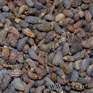 女贞子 制女贞子  女贞子腰果统货 产地 四川省图2