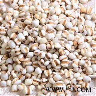 薏苡仁 选 95 产地 贵州省遵义市余庆县图2