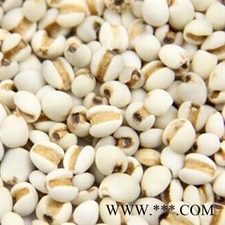 薏苡仁 选 95 产地 贵州省遵义市余庆县图3