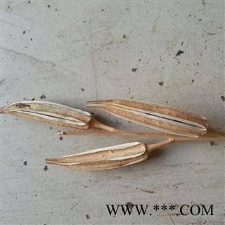 圣草康园 中药材 黄秋葵 秋葵果 羊角豆图2