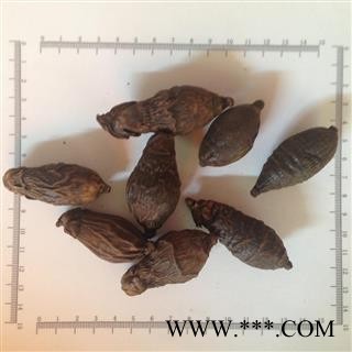 诺源药材行槟榔 枣槟榔  优质工艺品原料图2