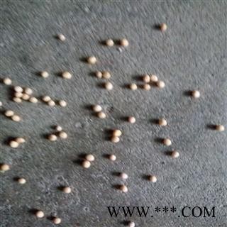 白芥子 统 产地 四川省图3