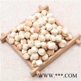 白豆蔻 选 产地直销 白豆蔻 白寇 白扣 白蔻 正品 优质 精选 促销 优惠图2