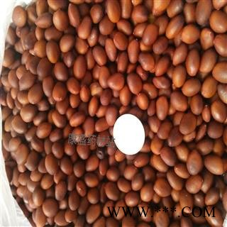 皂角籽   优质  皂角子 选货 产地 山东省滨州市惠民县图4