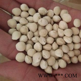 诺源药材行中药材樱桃核 车厘子 朱果图1