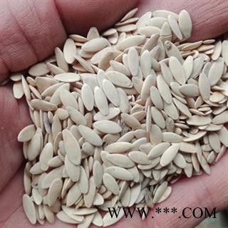 诺源药材行黄瓜子  黄瓜籽 哈力苏图2