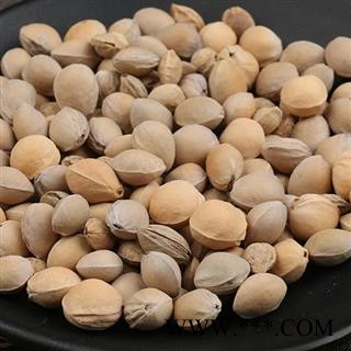 瑞森药材行樱桃核 樱桃子 车厘子图1